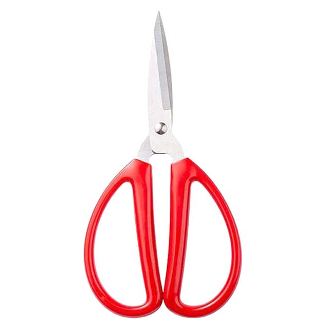 Scissors